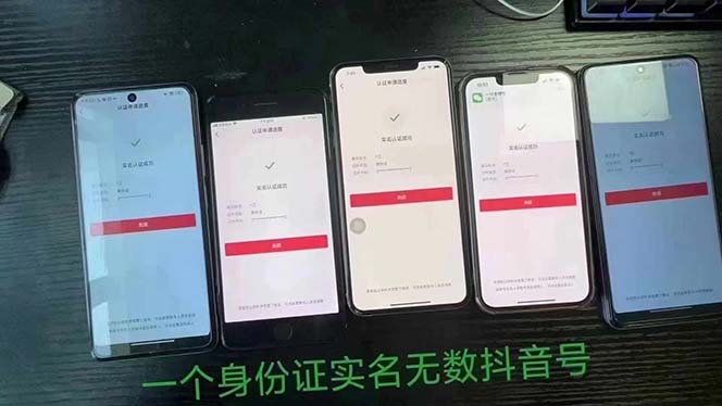抖音无限实名技术：一个SFZ号码可以十名无数个抖音账号，具体自己实操-源码天堂