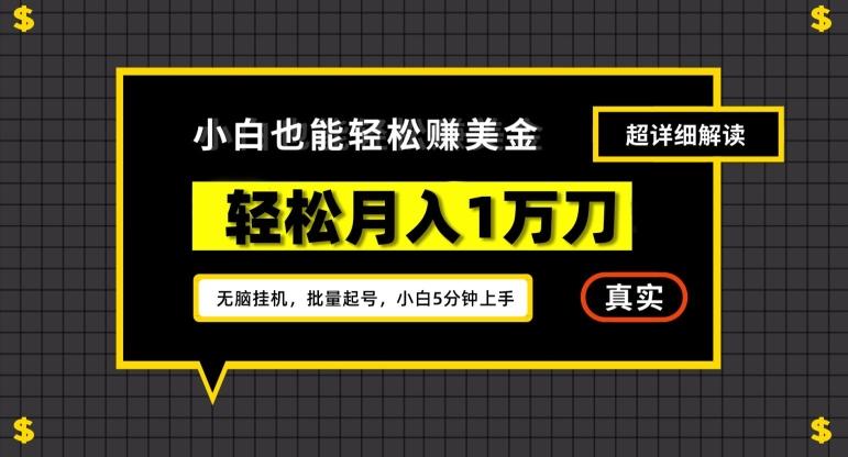 谷歌看广告撸美金2.0，无脑挂机，多号操作，月入1万刀【揭秘】-源码天堂
