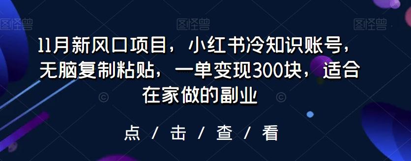 11月新风口项目，小红书冷知识账号，无脑复制粘贴，一单变现300块，适合在家做的副业-源码天堂
