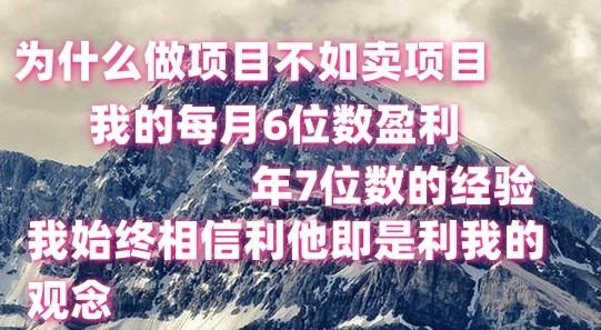 做项目不如卖项目，每月6位数盈利，年7位数经验-源码天堂