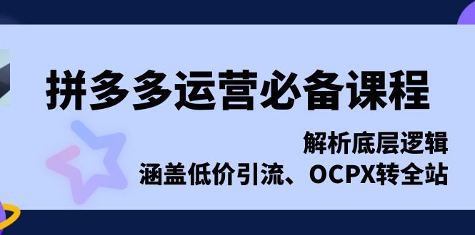 拼多多运营必备课程，解析底层逻辑，涵盖低价引流、OCPX转全站-源码天堂