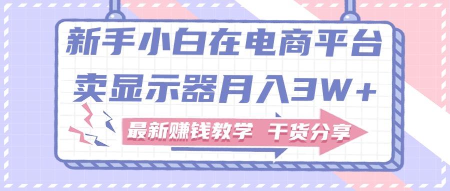 新手小白如何做到在电商平台卖显示器月入3W+，最新赚钱教学干货分享-源码天堂