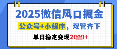 2025微信风口掘金，公众号+小程序双管齐下，单日稳定变现1k+【揭秘】-源码天堂