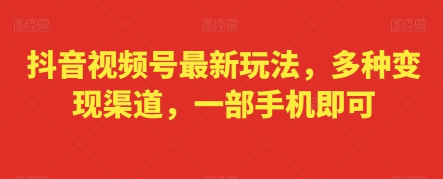 抖音视频号最新玩法，多种变现渠道，一部手机即可-源码天堂