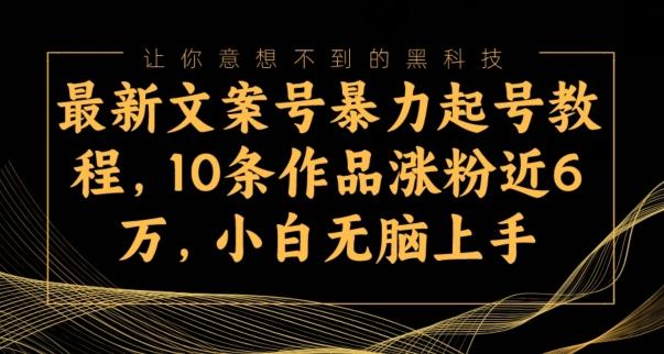 最新文案号暴力起号教程，10条作品涨粉近6万，小白无脑上手-源码天堂