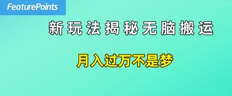 简单操作，每天50美元收入，搬运就是赚钱的秘诀【揭秘】-源码天堂