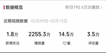 视频号最新100%原创玩法，收益稳定，单日收益1000+，小白专属-源码天堂