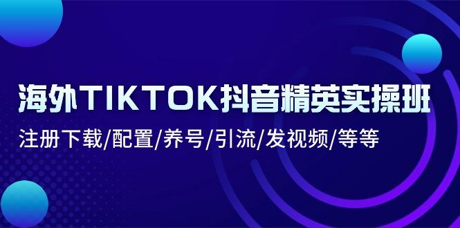 海外TIKTOK抖音精英实操班：注册下载/配置/养号/引流/发视频/等等-源码天堂