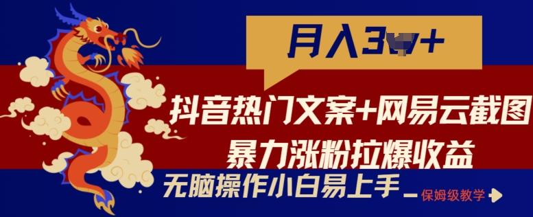 抖音热门文案+网易云截图暴力涨粉拉爆收益玩法，小白无脑操作，简单易上手【揭秘】-源码天堂