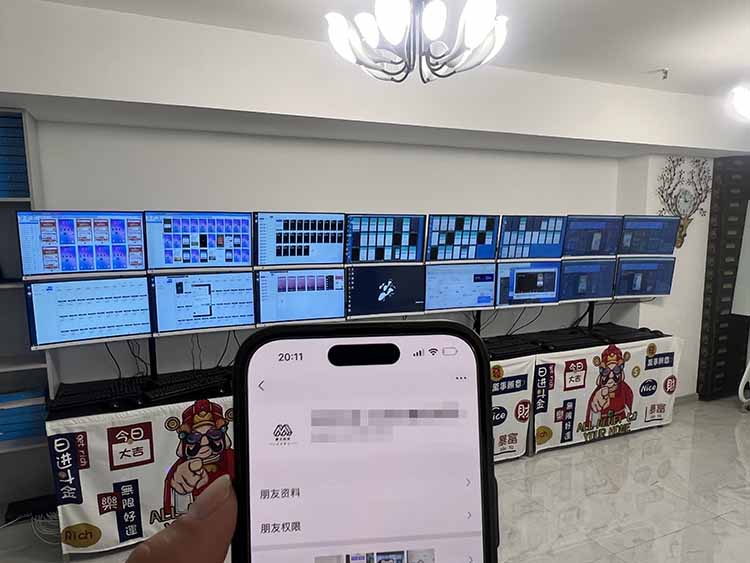 2025年实操六大项目实操演练，挂机类型，AI直播类型，轻资产创业类型，…-源码天堂