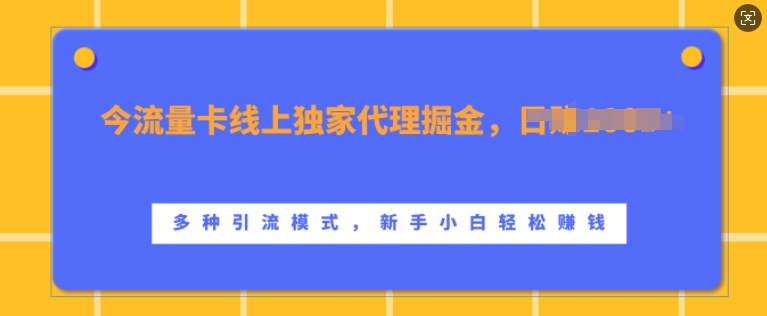 流量卡线上独家代理掘金，日入1k+ ，多种引流模式，新手小白轻松上手【揭秘】-源码天堂