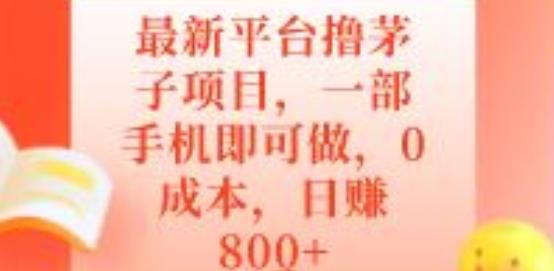 最新平台撸茅子项目，一部手机即可做，0成本，日赚800+-源码天堂