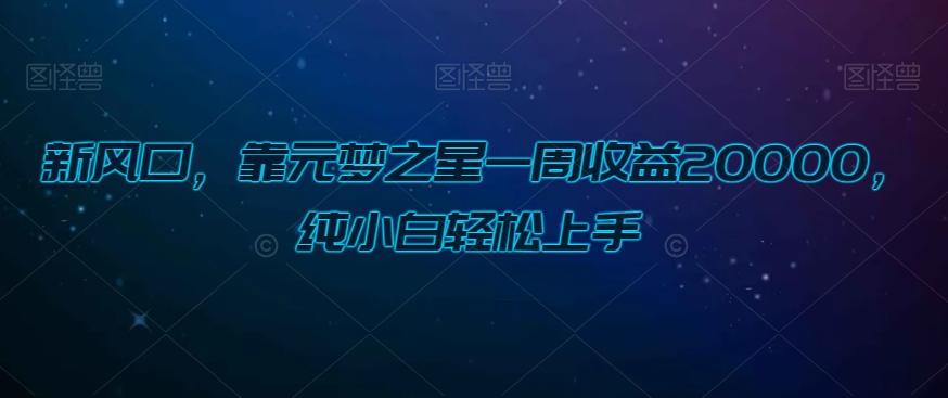 新风口，靠元梦之星一周收益20000，纯小白轻松上手-源码天堂