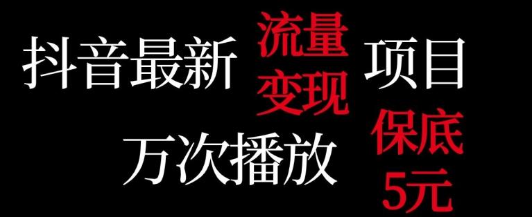 抖音流量变现，万次播放保底5元，额外收入-源码天堂