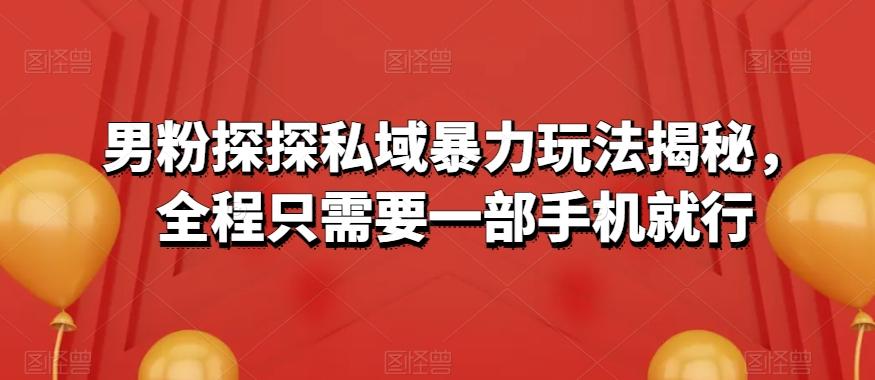 男粉探探私域暴力玩法揭秘，全程只需要一部手机就行-源码天堂