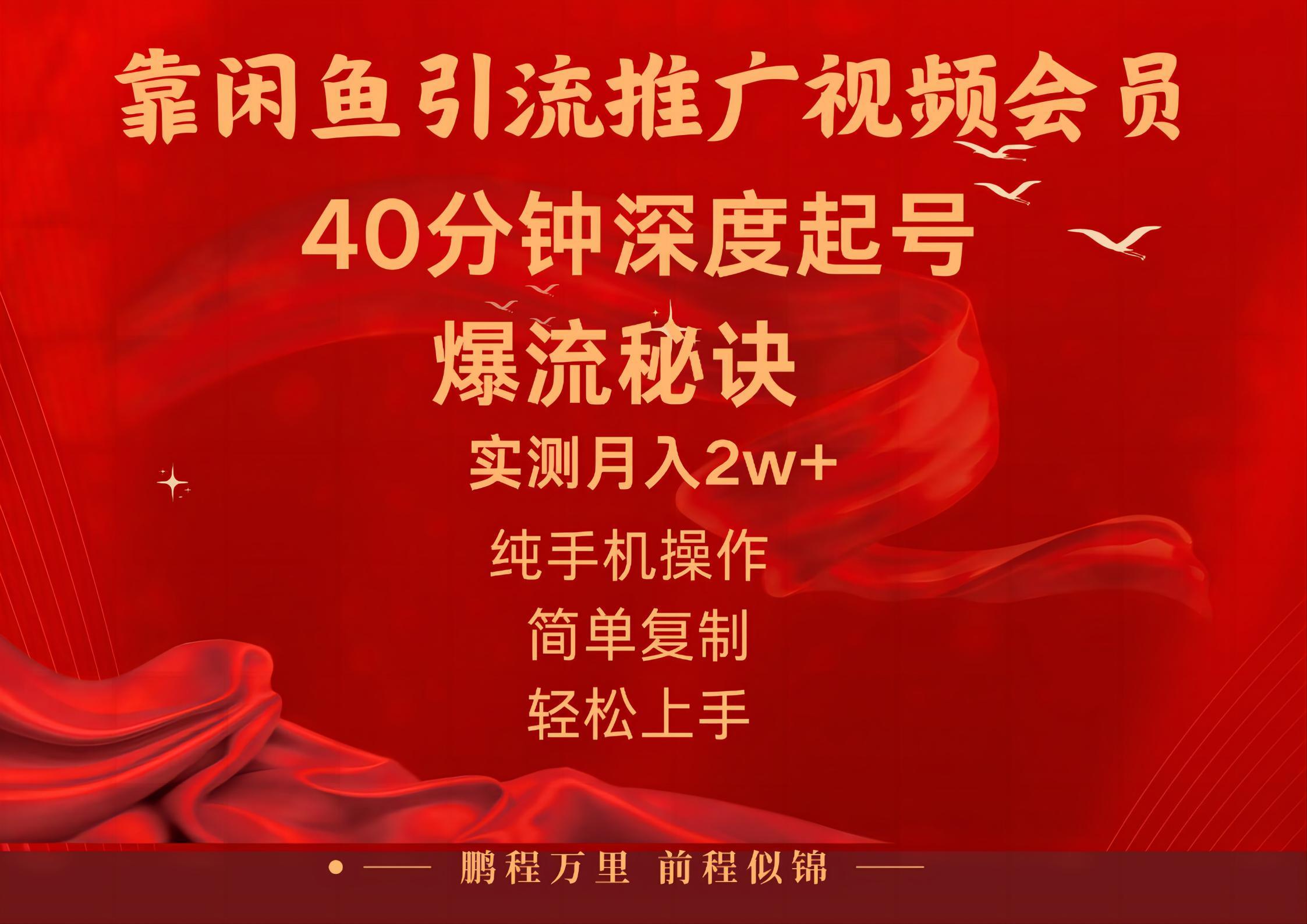 闲鱼暴力引流推广视频会员，能做到日入2W+，操作简单-源码天堂