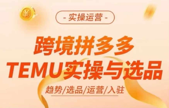 跨境拼多多TEMU实操与选品，多多temu跨境选品运营实操-源码天堂