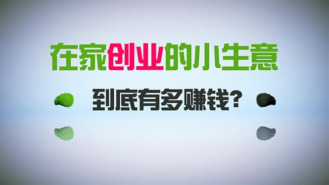 在家创业，日引300+创业粉，一年收入30万，闷声发财的小生意，比打工强-源码天堂