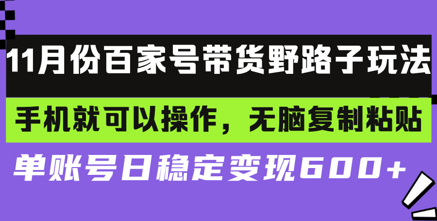 百家号带货野路子玩法 手机就可以操作，无脑复制粘贴 单账号日稳定变现…-源码天堂
