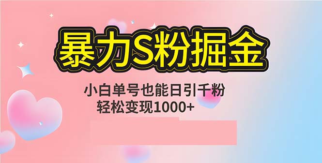 单人单机日引千粉，变现1000+，S粉流量掘金计划攻略-源码天堂