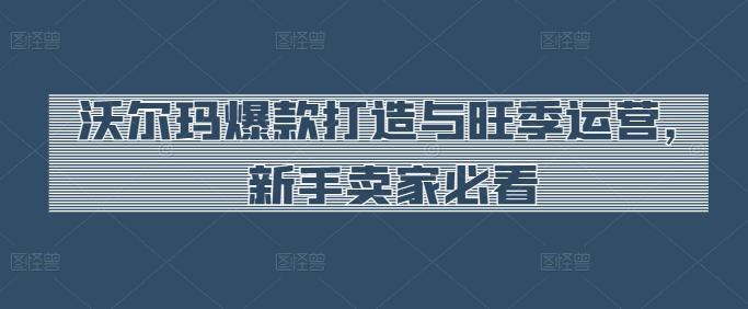 沃尔玛爆款打造与旺季运营，新手卖家必看-源码天堂