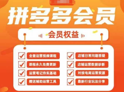 2025拼多多运营实战课，40节全流程教学，覆盖拼多多运营全链路-源码天堂