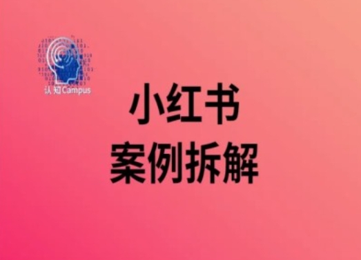 小红书案例拆解，深度解读小红书40万粉-源码天堂