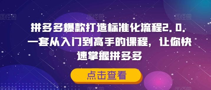 拼多多爆款打造标准化流程2.0，一套从入门到高手的课程，让你快速掌握拼多多-源码天堂