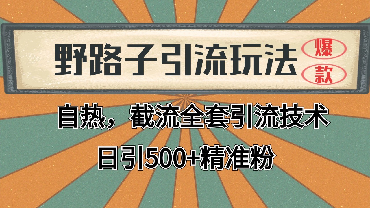 2024首发野路子引流玩法截流自热全平台打法，全自动引流【日引2000+精准客户】-源码天堂