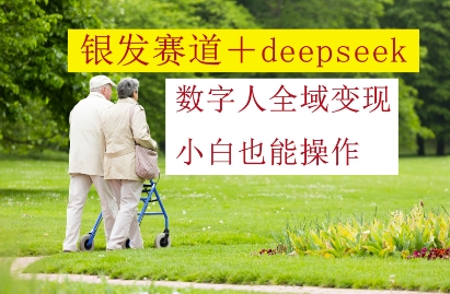 银发赛道+deepseek数字人全域变现，小白也能操作-源码天堂