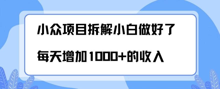 小众项目拆解，小白做好了每天可增加1000多的收入-源码天堂