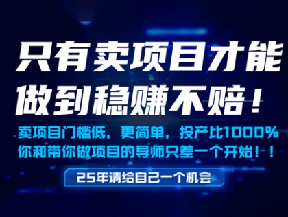 只有卖项目才能做到稳挣不赔，门槛低，更简单，你也可以年入百个W【揭秘】-源码天堂