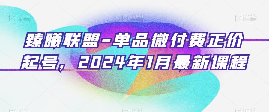 臻曦联盟-单品微付费正价起号，2024年1月最新课程-源码天堂