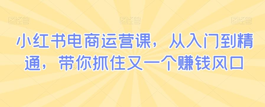 小红书电商运营课，从入门到精通，带你抓住又一个赚钱风口-源码天堂