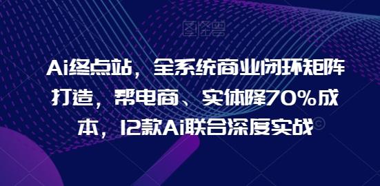 Ai终点站，全系统商业闭环矩阵打造，帮电商、实体降70%成本，12款Ai联合深度实战-源码天堂
