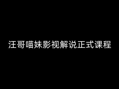 汪哥影视解说正式课程：剪映/PR教学/视解说剪辑5大黄金法则/全流程剪辑7把利器等等-源码天堂