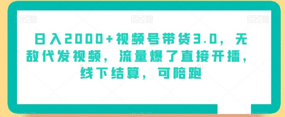 日入2000+视频号带货3.0，无敌代发视频，流量爆了直接开播，线下结算，可陪跑-源码天堂