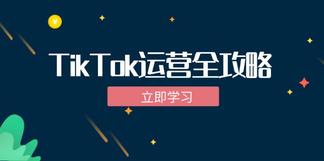 TikTok实战运营全攻略：从下载软件到变现，抖音海外版实操教程-源码天堂
