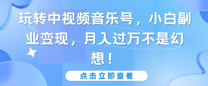 玩转中视频音乐号，小白副业变现，月入过万不是幻想【揭秘】-源码天堂