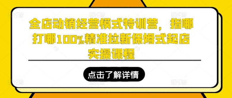 全店动销经营模式特训营，指哪打哪100%精准拉新保姆式起店实操课程-源码天堂