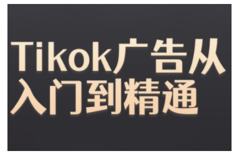 Tiktok Ads实操教程，Tiktok广告从入门到精通-源码天堂