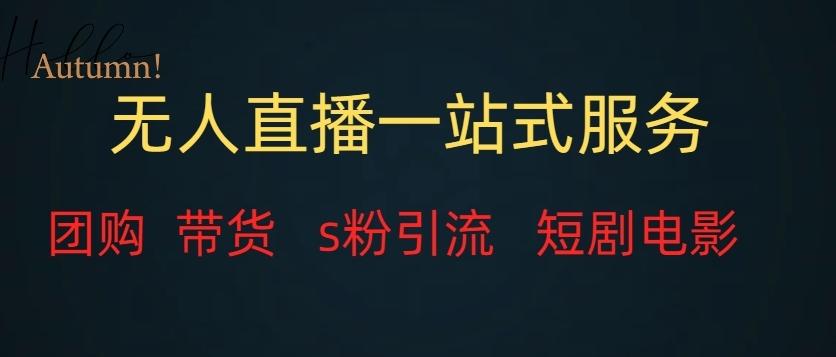 无人直播一站式服务（教程以及变现方式）-源码天堂
