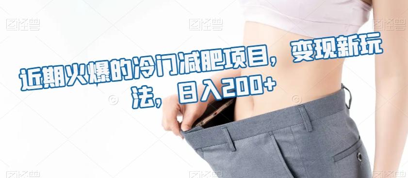 近期火爆的冷门减肥项目，变现新玩法，日入200+-源码天堂