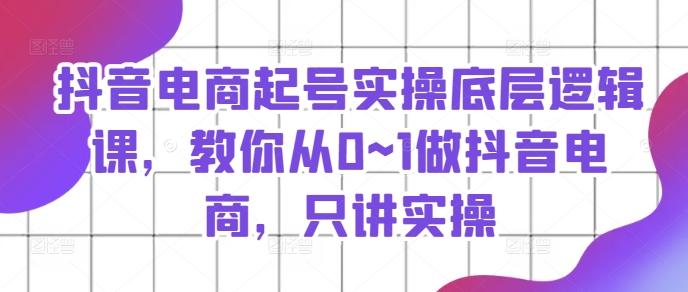 抖音电商起号实操底层逻辑课，教你从0~1做抖音电商，只讲实操-源码天堂