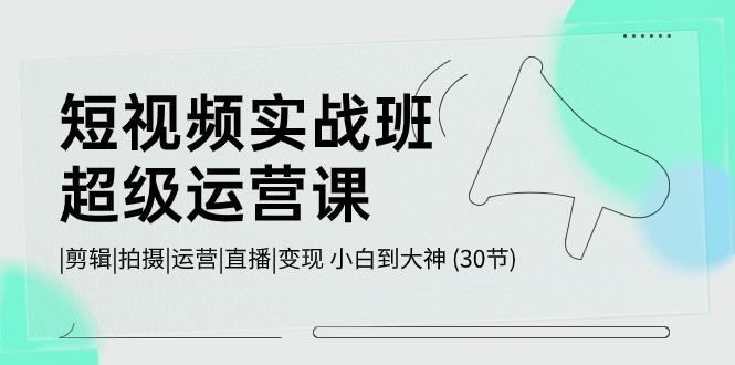 短视频实战班超级运营课 |剪辑|拍摄|运营|直播|变现 小白到大神 (30节)-源码天堂