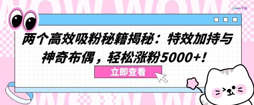 两个高效吸粉秘籍揭秘：特效加持与神奇布偶，轻松涨粉5000+【揭秘】-源码天堂