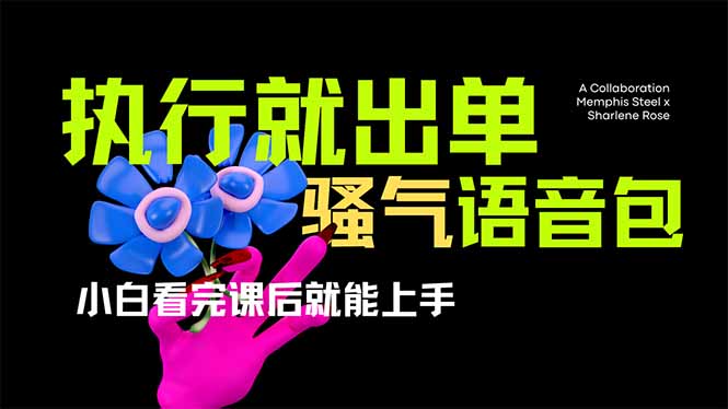（14170期）爆火全网的开车导航骚气语音包,只要执行就出单，小白看完课程就能实操…-源码天堂