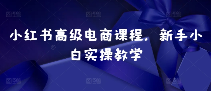 小红书高级电商课程，新手小白实操教学-源码天堂