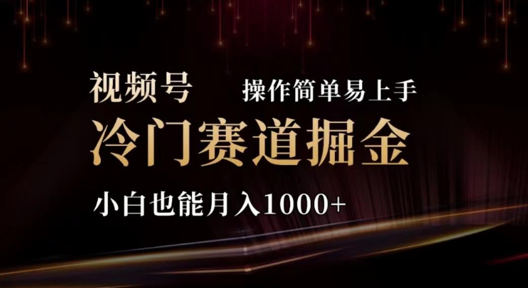 2024视频号冷门赛道掘金，操作简单轻松上手，小白也能月入1000+-源码天堂