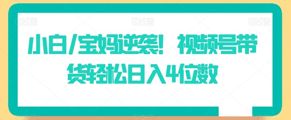 小白/宝妈逆袭！视频号带货轻松日入4位数【揭秘】-源码天堂